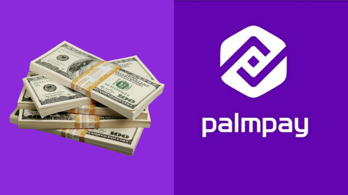 How to Apply for Palmpay Loan in Nigeria
