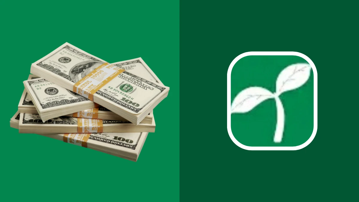 How to Apply for PoCash Loan